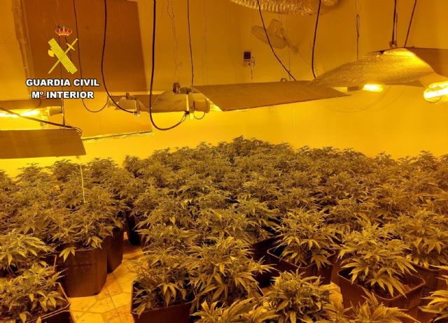 La Guardia Civil desmantela en una vivienda de Beniel un invernadero de marihuana - 3, Foto 3