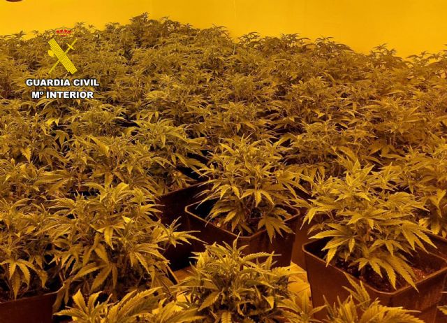 La Guardia Civil desmantela en una vivienda de Beniel un invernadero de marihuana - 4, Foto 4