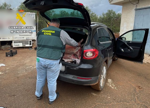 La Guardia Civil desmantela un grupo delictivo dedicado a la sustracción de ganado en el Campo de Cartagena - 2, Foto 2