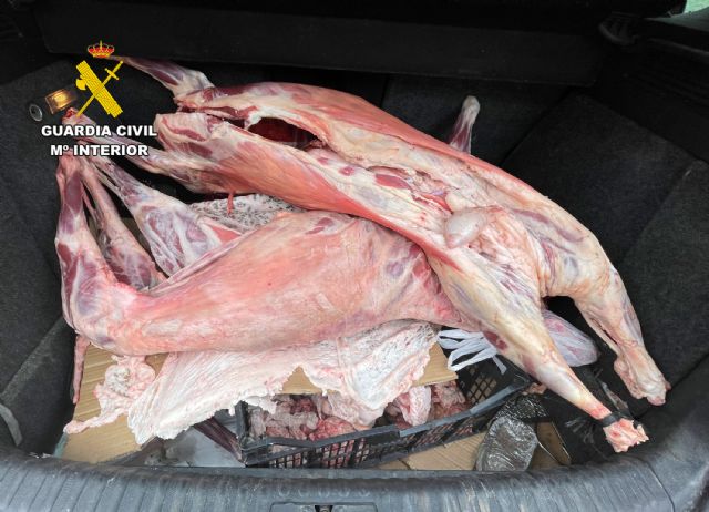 La Guardia Civil desmantela un grupo delictivo dedicado a la sustracción de ganado en el Campo de Cartagena - 4, Foto 4