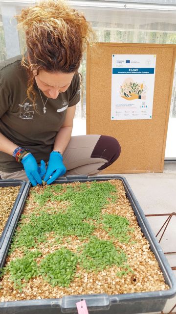 La Comunidad impulsa la restauración ecológica con especies silvestres herbáceas autóctonas a través del proyecto Interreg Sudoe FLoRE - 1, Foto 1