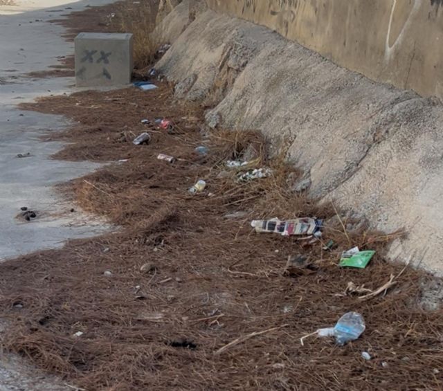 El PSOE exige al PP un plan intensivo de limpieza de ramblas y solares para prevenir incendios y daños por lluvias intensas - 3, Foto 3