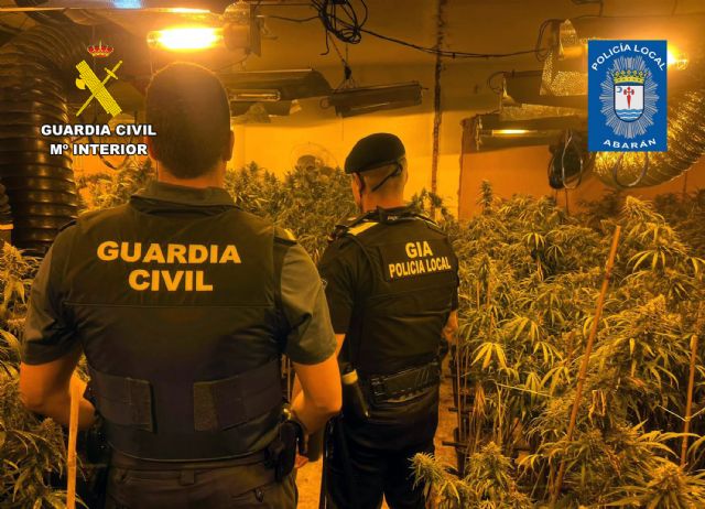 Desmantelan un invernadero indoor de marihuana en Abarán - 1, Foto 1