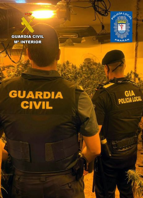 Desmantelan un invernadero indoor de marihuana en Abarán - 3, Foto 3
