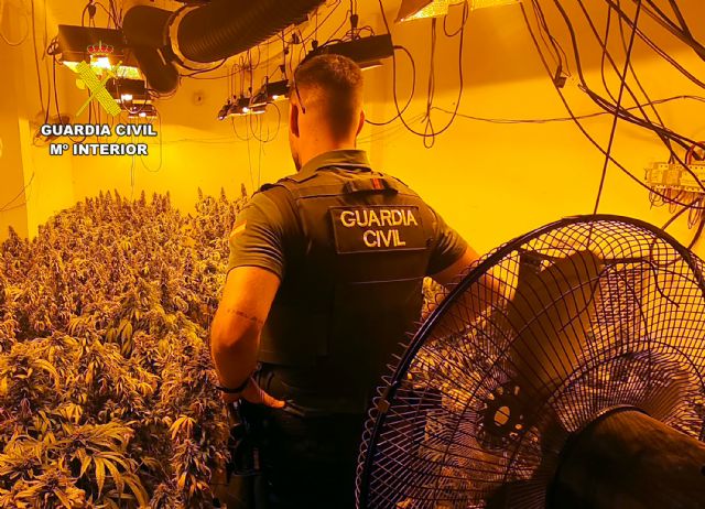 La Guardia Civil desmantela en �guilas un grupo delictivo que cultivaba gran cantidad de marihuana