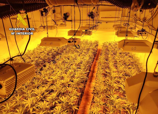 La Guardia Civil desmantela en Águilas un grupo delictivo que cultivaba gran cantidad de marihuana - 2, Foto 2