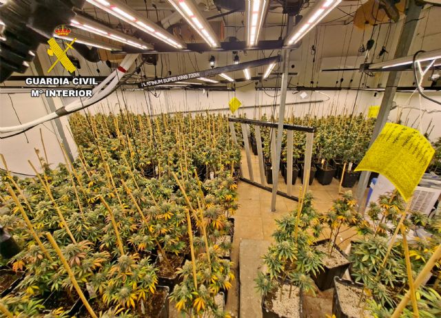 La Guardia Civil desmantela en Águilas un grupo delictivo que cultivaba gran cantidad de marihuana - 3, Foto 3