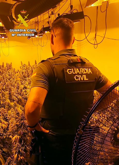 La Guardia Civil desmantela en Águilas un grupo delictivo que cultivaba gran cantidad de marihuana - 5, Foto 5