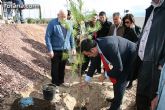Plantan 30 árboles autóctonos en la Ciudad Deportiva “Sierra Espuña” para celebrar el 30 aniversario de la Constitución Española - 14 Plantan 30 árboles autóctonos en la Ciudad Deportiva “Sierra Espuña” para celebrar el 30 aniversario de la Constitución Española - 14