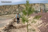 Plantan 30 árboles autóctonos en la Ciudad Deportiva “Sierra Espuña” para celebrar el 30 aniversario de la Constitución Española - 24 Plantan 30 árboles autóctonos en la Ciudad Deportiva “Sierra Espuña” para celebrar el 30 aniversario de la Constitución Española - 24