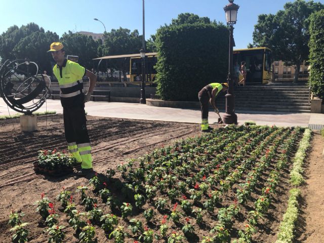 El Ayuntamiento adorna Murcia con 70.000 flores de colores para recibir la Feria de Septiembre - 1, Foto 1
