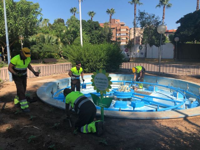 El Ayuntamiento adorna Murcia con 70.000 flores de colores para recibir la Feria de Septiembre - 3, Foto 3