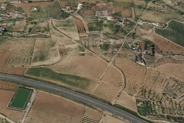 Proponen la creación de un cementerio de mascotas en las inmediaciones de Pozo de los Palos - 1, Foto 1