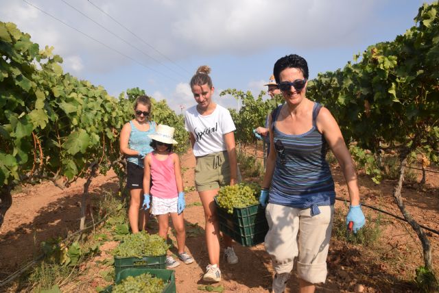 Estudiantes, profesores y personal se reencuentran en la Fiesta de la Vendimia de la UPCT - 1, Foto 1