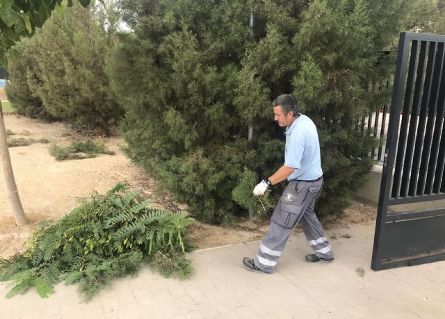 La Concejalía de Educación coordina el arreglo estival de los centros docentes públicos - 4, Foto 4