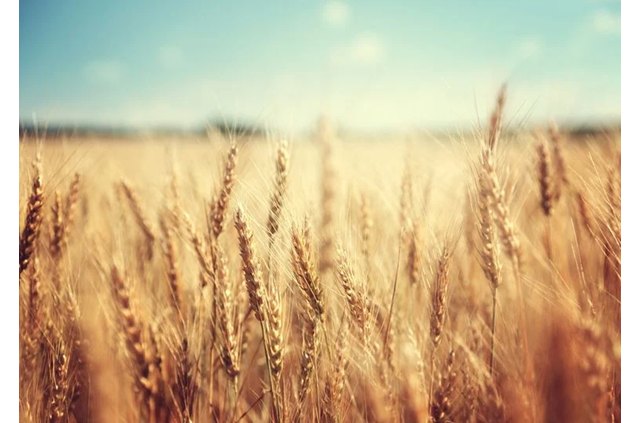 A final de semana, en algunas zonas del sureste peninsular, se podrían superar los 40 °C., Foto 1