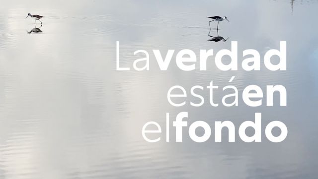 Podemos lanza un vídeo en el que se revelan las verdaderas causas del desastre del Mar Menor - 1, Foto 1