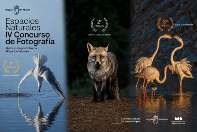 La fauna de la Regi�n protagoniza las fotograf�as ganadoras de la cuarta edici�n del concurso #MeGustaRegi�nDeMurcia