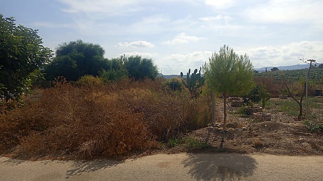 Izquierda Unida reclama al Ayuntamiento de Murcia la limpieza urgente de unos terrenos en la urbanizaci�n Monte Blanco