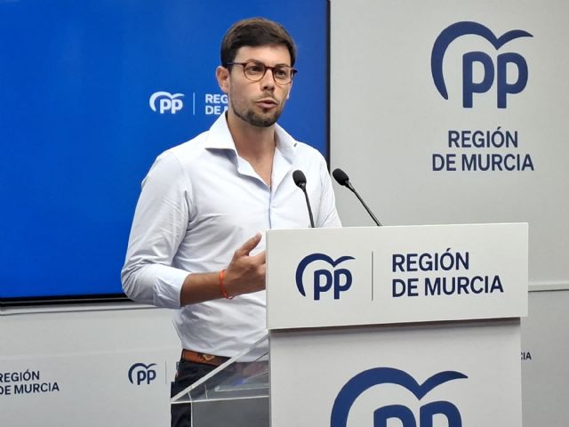 El PP exige la comparecencia urgente de Francisco Lucas para explicar qué falló en el dispositivo de vigilancia costera en Cartagena con la entrada de decenas de inmigrantes - 3, Foto 3