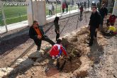 Los alumnos de las Escuelas Municipales Deportivas forestan la Ciudad Deportiva “Sierra Espuña” - 14
