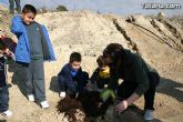 Los alumnos de las Escuelas Municipales Deportivas forestan la Ciudad Deportiva “Sierra Espuña” - 21