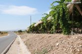 Guardia Civil, Policía Local y vigilantes rurales peinan las zonas de cultivo de uva de mesa - 3