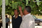 Guardia Civil, Policía Local y vigilantes rurales peinan las zonas de cultivo de uva de mesa - 10