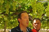 Guardia Civil, Policía Local y vigilantes rurales peinan las zonas de cultivo de uva de mesa - 16