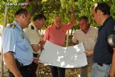 Guardia Civil, Policía Local y vigilantes rurales peinan las zonas de cultivo de uva de mesa - 24