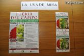 Alrededor de cincuenta personas participan en las primeras jornadas técnicas sobre “La uva de mesa” - 4