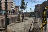 El paseo de la Avenida Rambla de La Santa comienza a transformar su imagen gracias a las obras de remodelación que se están ejecutando - 2