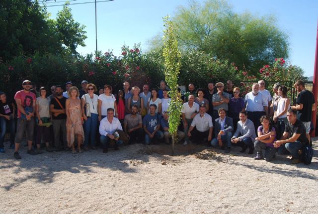 Plantación del chopo, Foto 1