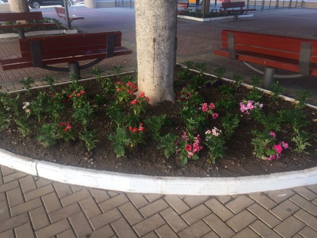 Continúan los arreglos en parques y jardines de la localidad - 2, Foto 2