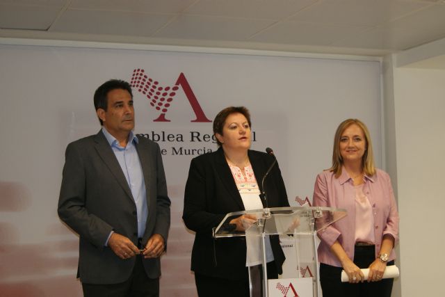 El PSOE logra la unanimidad de la Asamblea para la elaboración urgente del Plan de gestión que proteja el Monte Arabí de Yecla - 1, Foto 1