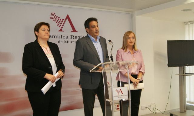El PSOE logra la unanimidad de la Asamblea para la elaboración urgente del Plan de gestión que proteja el Monte Arabí de Yecla - 2, Foto 2