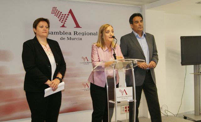 El PSOE logra la unanimidad de la Asamblea para la elaboración urgente del Plan de gestión que proteja el Monte Arabí de Yecla - 3, Foto 3