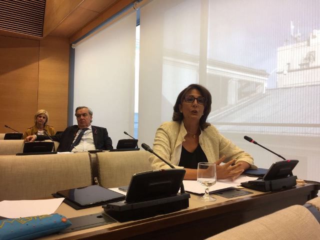 Isabel Borrego: El Gobierno del PSOE paraliza el Arco Norte y el tercer carril de la A7, hasta el límite de la Región, con la clara intención de perjudicar a los murcianos - 1, Foto 1