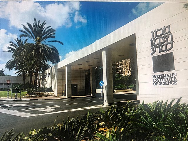 Amanda Cuevas Sierra, una murciana en la élite del mundo científico - 2, Foto 2