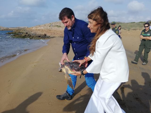 El Centro de Recuperación de Fauna Silvestre 'El Valle' libera dos ejemplares de tortuga boba - 1, Foto 1