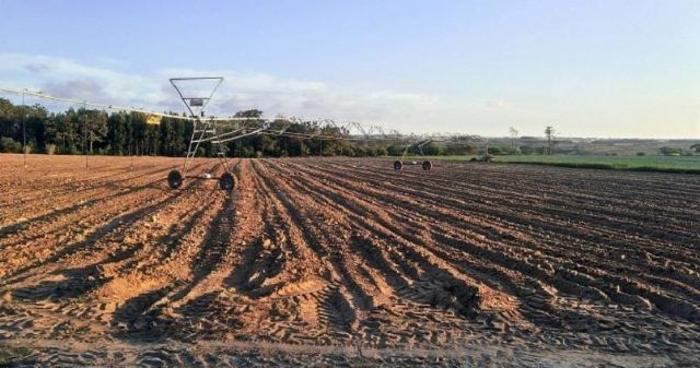 ASAJA Murcia promueve junto al CEBAS y Micronadir una jornada sobre suelos degradados - 1, Foto 1