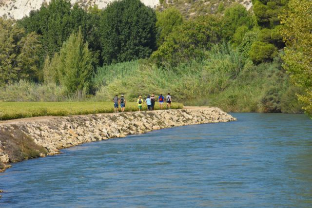 Las rutas del arroz de Calasparra vuelven con los impresionantes parajes de la vega arrocera - 2, Foto 2
