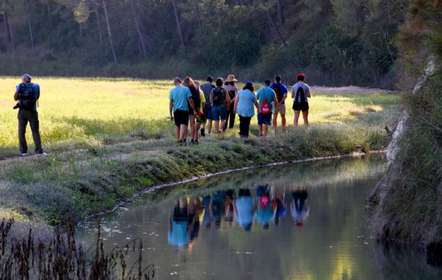 Las rutas del arroz de Calasparra vuelven con los impresionantes parajes de la vega arrocera - 3, Foto 3