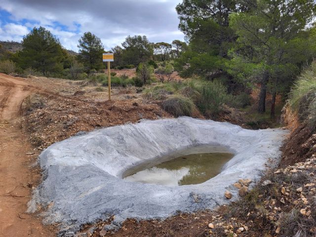 La Comunidad impulsa la conservación de la fauna protegida en Jumilla, Lorca y Moratalla - 1, Foto 1