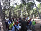 El pasado domingo 24 de enero, el club senderista de Totana celebró su ruta más entrañable: la subida al Morron de Espuña - 7