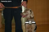 La unidad canina antidroga de la Policía Local de Totana se refuerza con la incorporación de una hembra de labrador - 1