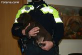La unidad canina antidroga de la Policía Local de Totana se refuerza con la incorporación de una hembra de labrador - 2 La unidad canina antidroga de la Policía Local de Totana se refuerza con la incorporación de una hembra de labrador - 2
