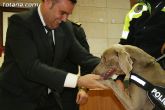 La unidad canina antidroga de la Policía Local de Totana se refuerza con la incorporación de una hembra de labrador - 30 La unidad canina antidroga de la Policía Local de Totana se refuerza con la incorporación de una hembra de labrador - 30