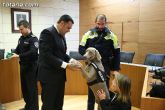 La unidad canina antidroga de la Policía Local de Totana se refuerza con la incorporación de una hembra de labrador - 33