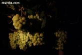 Las fuerzas de seguridad blindan cinco zonas del municipio contra la oleada de robos que se están registrando en los cultivos de uva de mesa - 24